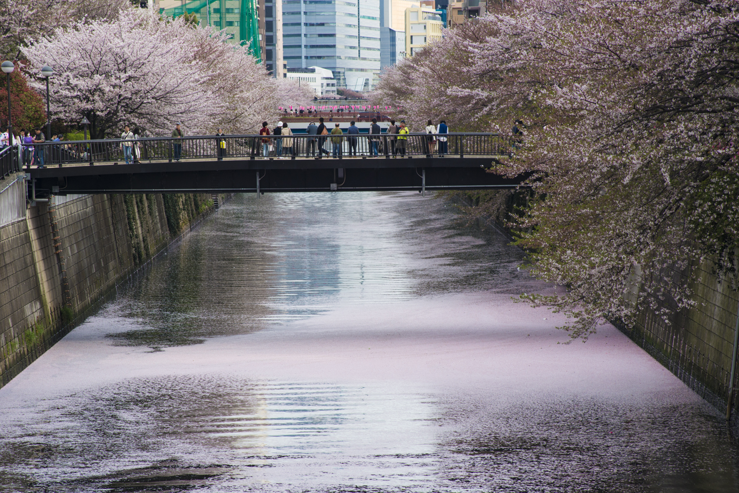 Tokyo Megurogawa